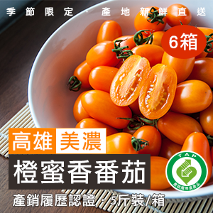 [冬季限定] 美濃橙蜜香番茄 5斤/箱 (產地直送)-6箱組