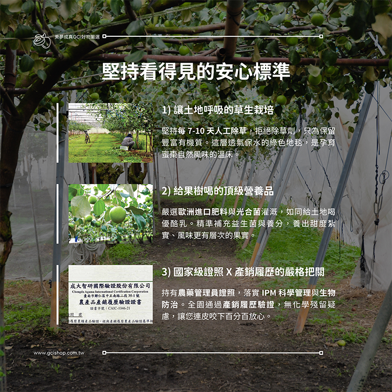 六龜蜜棗果園的安心標準：草生栽培、光合菌灌溉、IPM管理與產銷履歷驗證