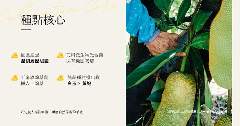 屏東潮州榴槤蜜四大安心保證，堅持產銷履歷驗證與人工除草的踏實農法