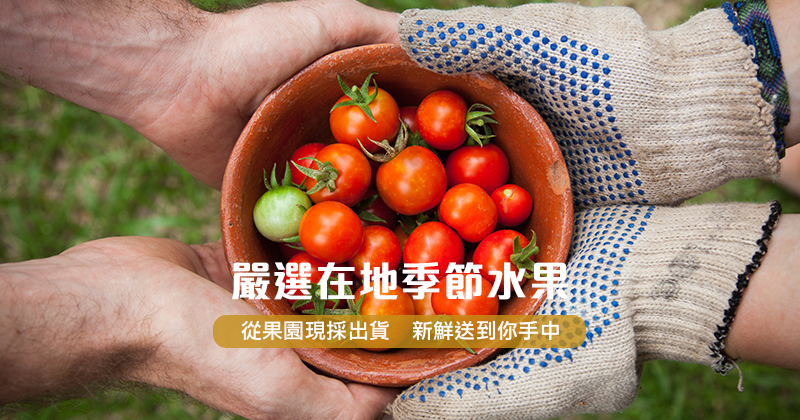 嚴選台灣季節水果，產地現採直接送到家