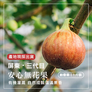 屏東三代目無花果-飽香果1斤/盒(產地直送)