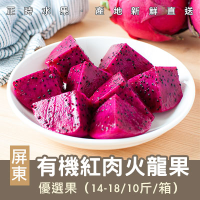 屏東有機紅肉火龍果-10斤/8-12顆(大粒果)