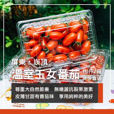 屏東溫室栽培玉女番茄-10斤裝(產地直送)