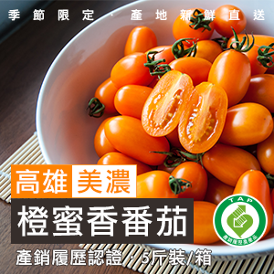 [冬季限定] 美濃橙蜜香番茄 5斤/箱