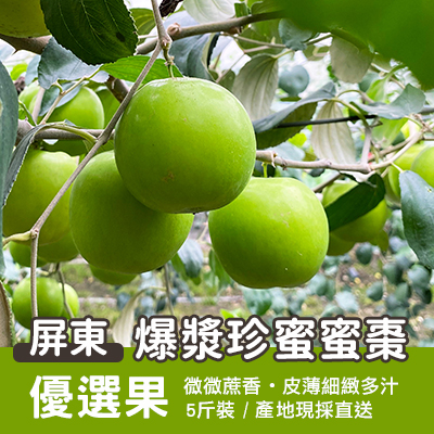 屏東爆漿珍蜜蜜棗-優選果5斤裝(產地直送)