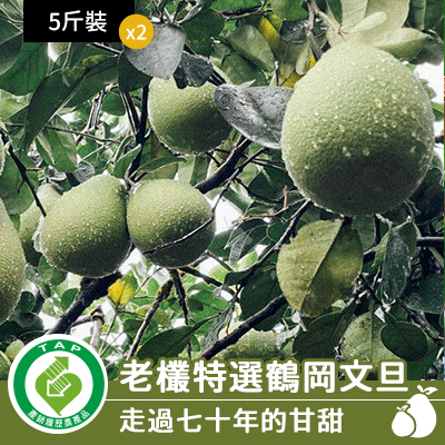 老欉特選鶴岡文旦-5斤2箱組