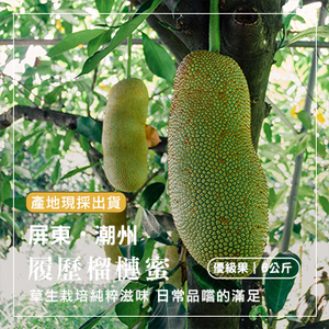 屏東潮州履歷榴槤蜜-優級果6公斤(產地直送)