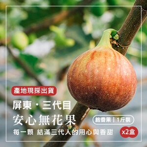 屏東三代目無花果-飽香果1斤/盒-2盒組(產地直送)