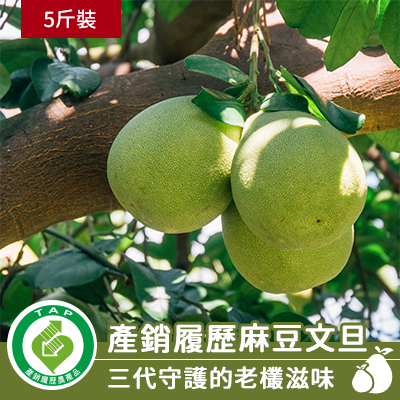 【預購】安心履歷麻豆文旦-5斤裝(產地直送)