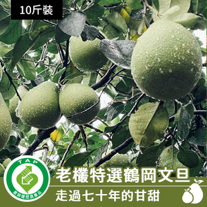 老欉特選鶴岡文旦-10斤裝