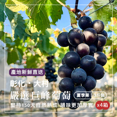 彰化大村嚴選巨峰葡萄-3斤裝禮盒(4箱組)(產地直送)