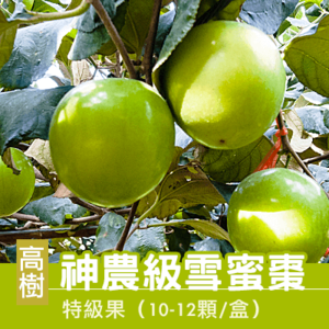 自然甜神農雪蜜棗-特級果10-12顆/盒(產地直送)