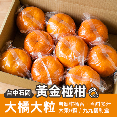 石岡黃金椪柑大肚果-黃金九橘盒(產地直送)