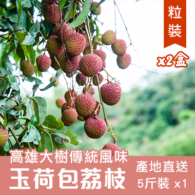 高雄大樹玉荷包荔枝-傳統5斤(粒裝)-2盒組